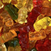 Gold Bears